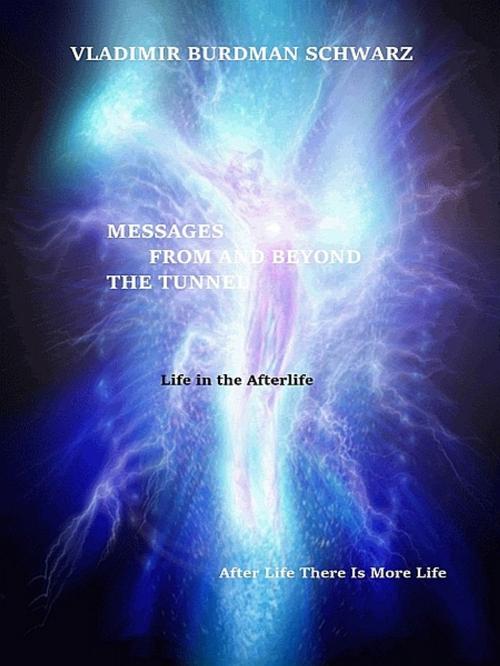 Cover of the book After Life There Is More Life by Vladimir Burdman Schwarz, XinXii-GD Publishing