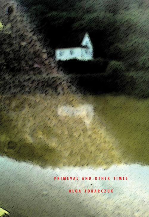 Cover of the book Primeval and Other Times by Olga Tokarczuk, Antonia Lloyd-Jones, Twisted Spoon Press