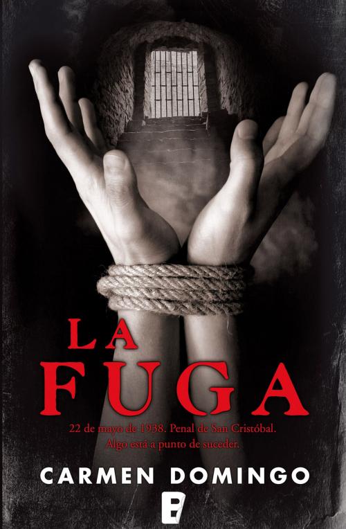 Cover of the book La fuga by Carmen Domingo, Penguin Random House Grupo Editorial España