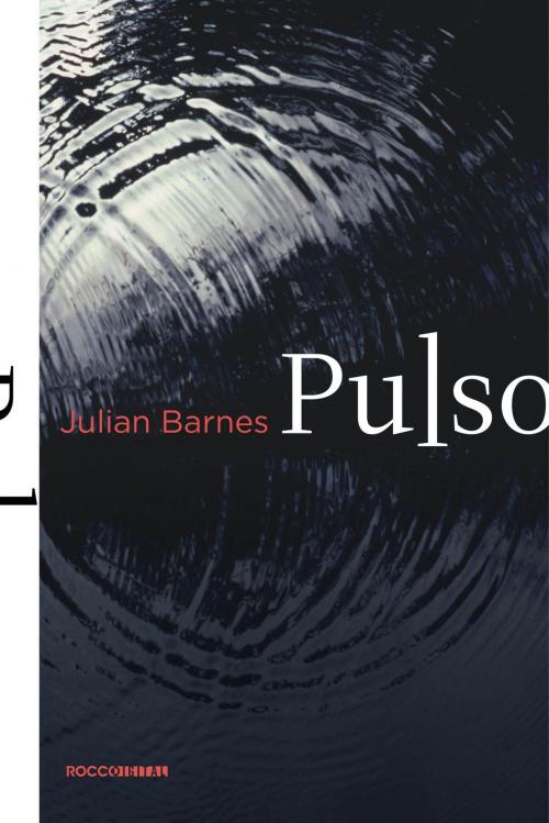 Cover of the book Pulso by Julian Barnes, Rocco Digital