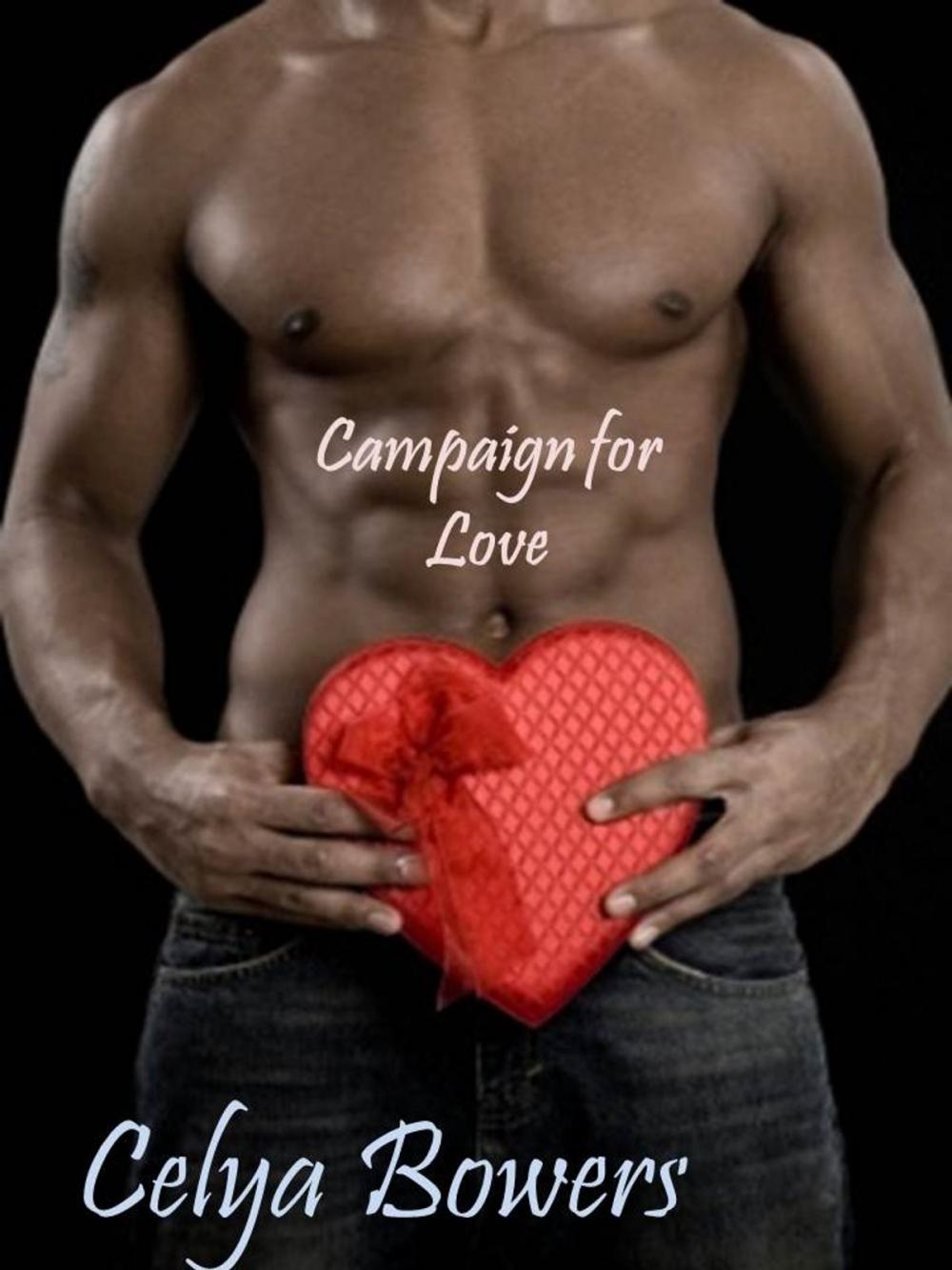 Big bigCover of Campaign 4 Love