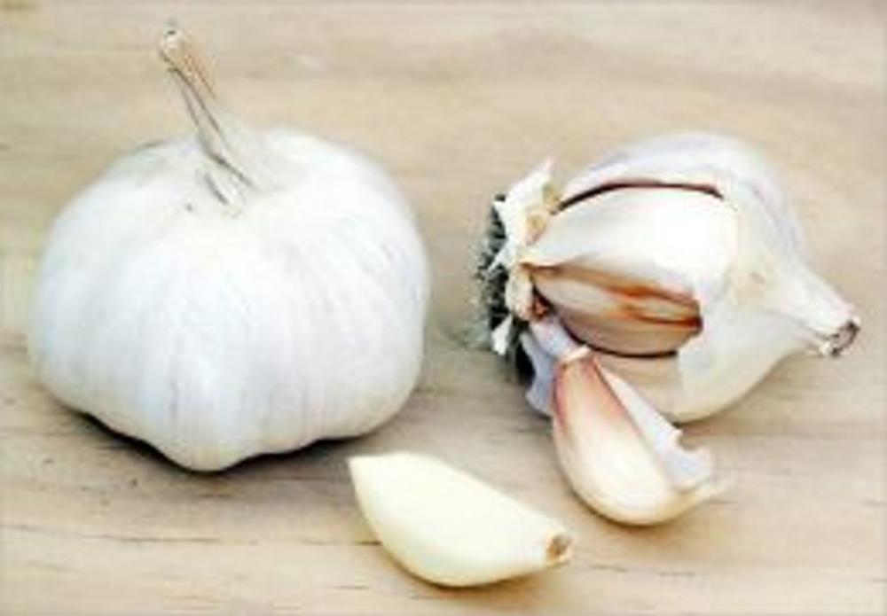 Big bigCover of A Crash Course on How to Grow Garlic