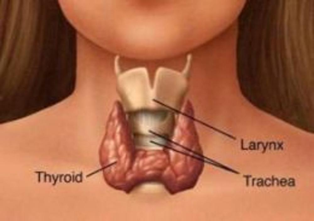 Big bigCover of Hyperthyroidism: Causes, Symptoms and Treatments