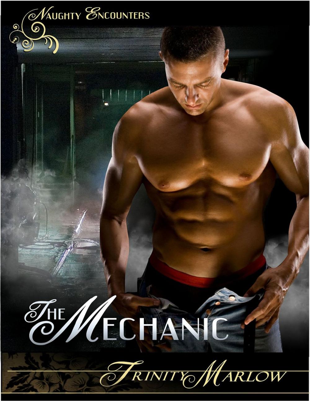 Big bigCover of The Mechanic