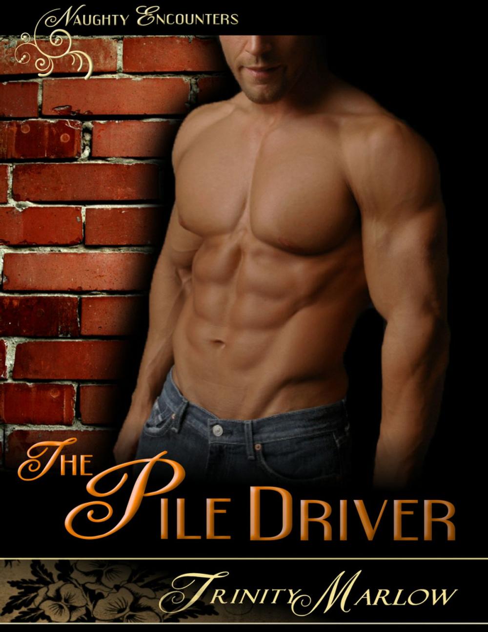 Big bigCover of The Pile Driver