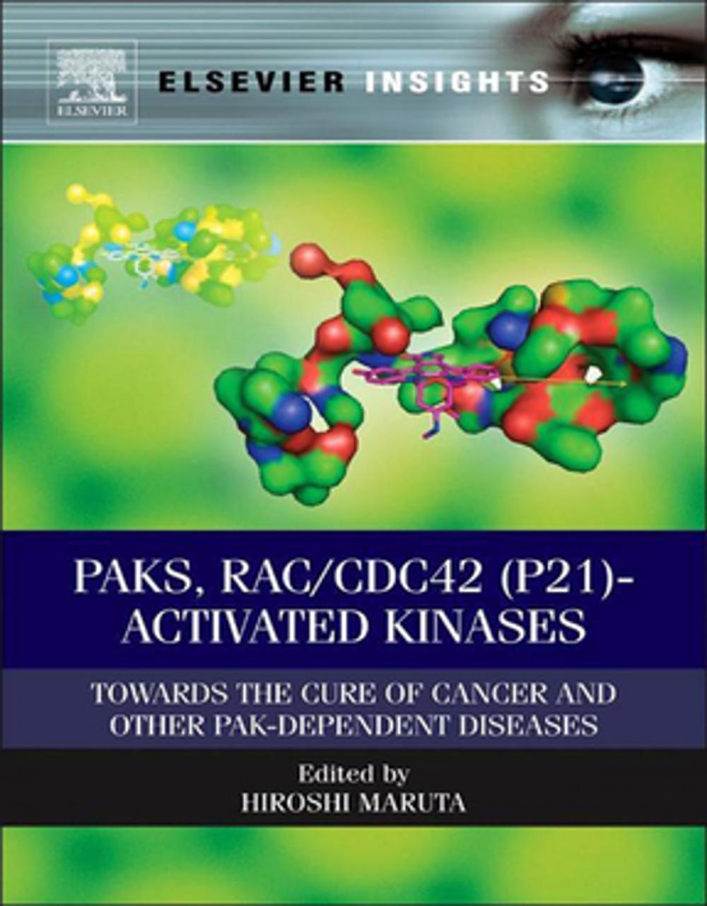 Big bigCover of PAKs, RAC/CDC42 (p21)-activated Kinases