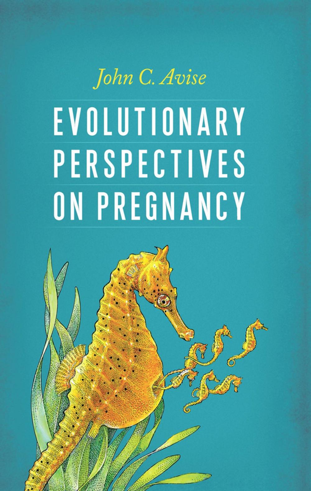 Big bigCover of Evolutionary Perspectives on Pregnancy