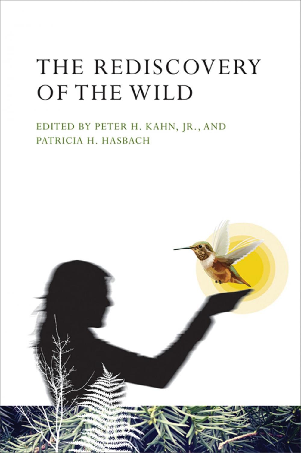 Big bigCover of The Rediscovery of the Wild