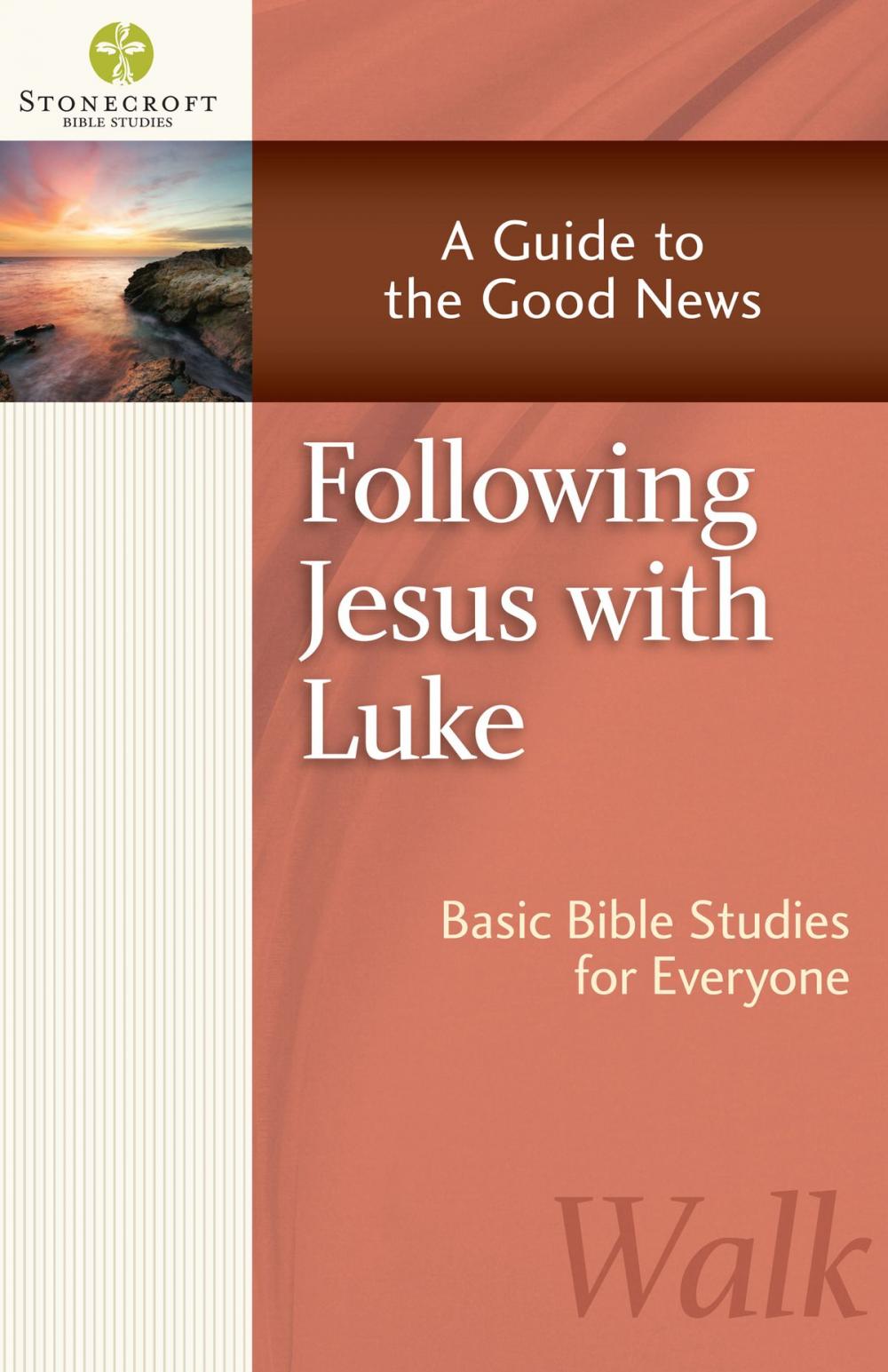 Big bigCover of Following Jesus with Luke