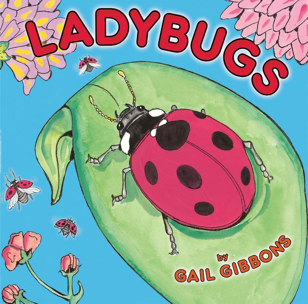 Big bigCover of Ladybugs