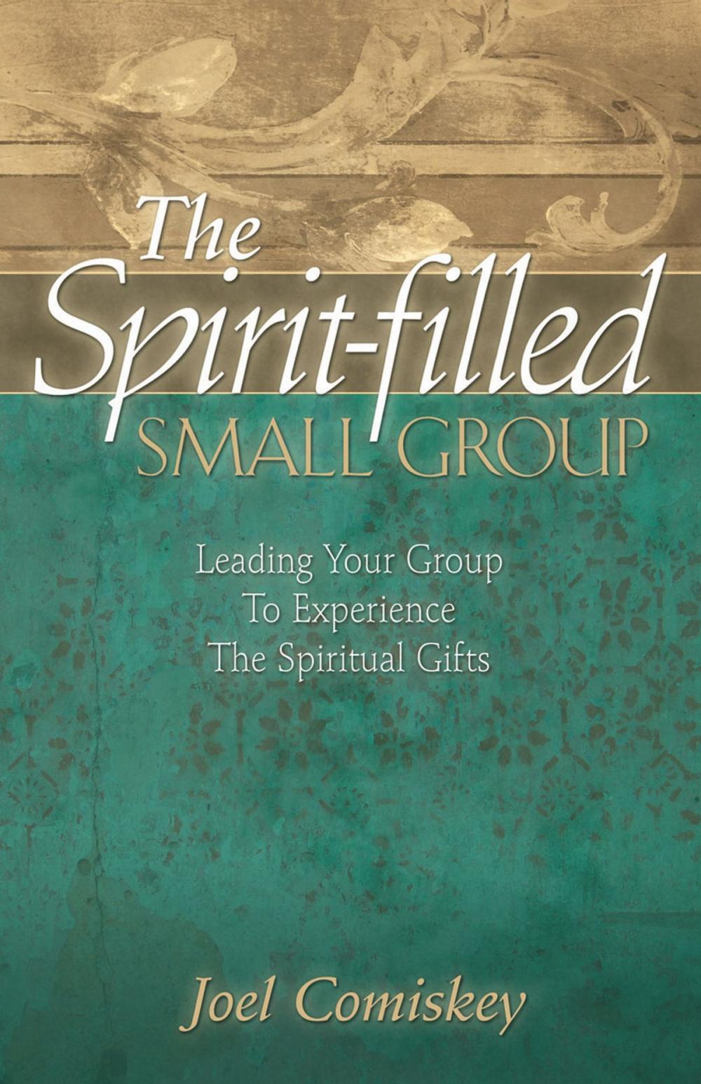 Big bigCover of The Spirit-filled Small Group