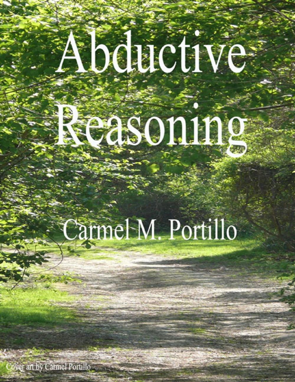 Big bigCover of Abductive Reasoning