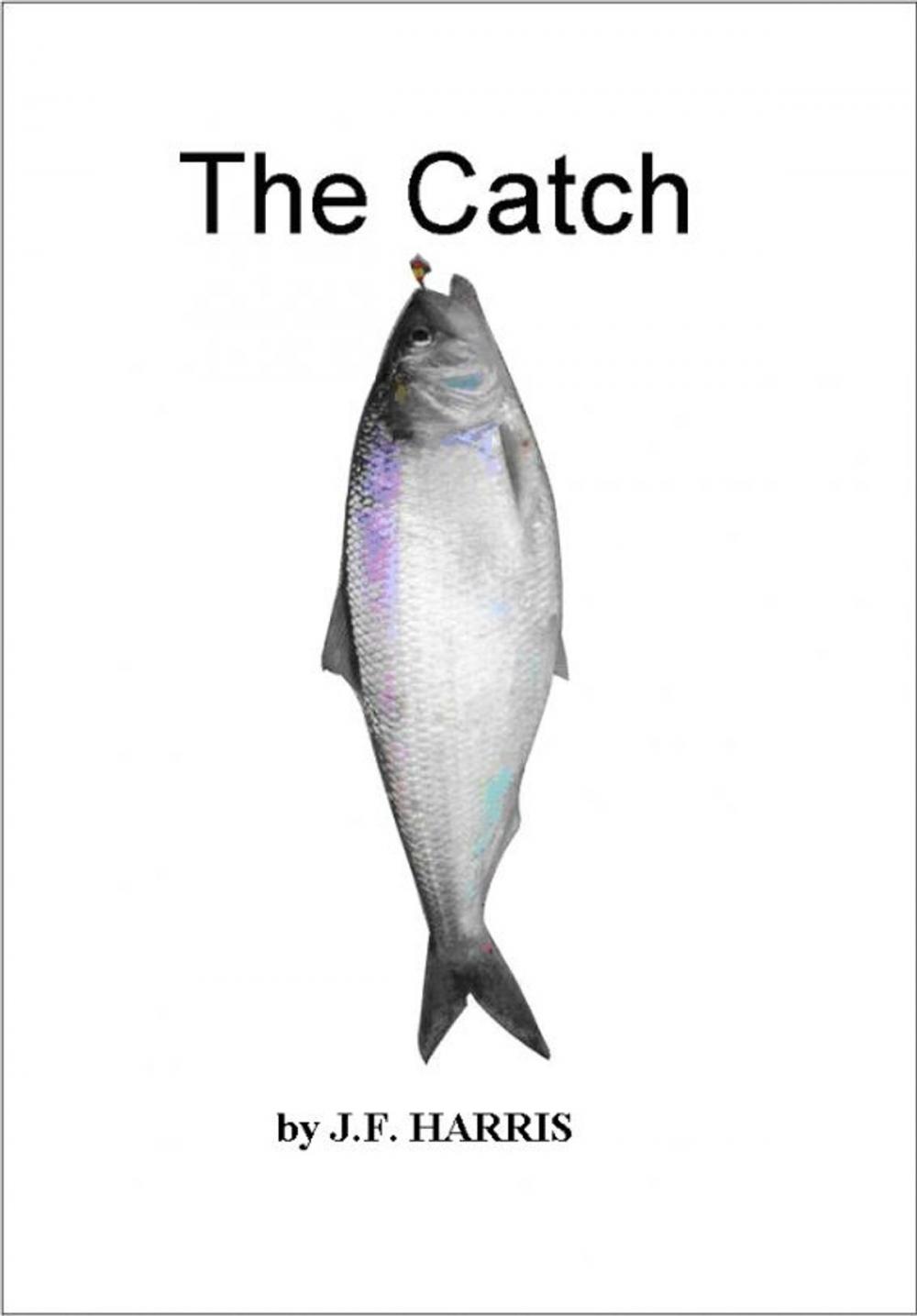Big bigCover of The Catch