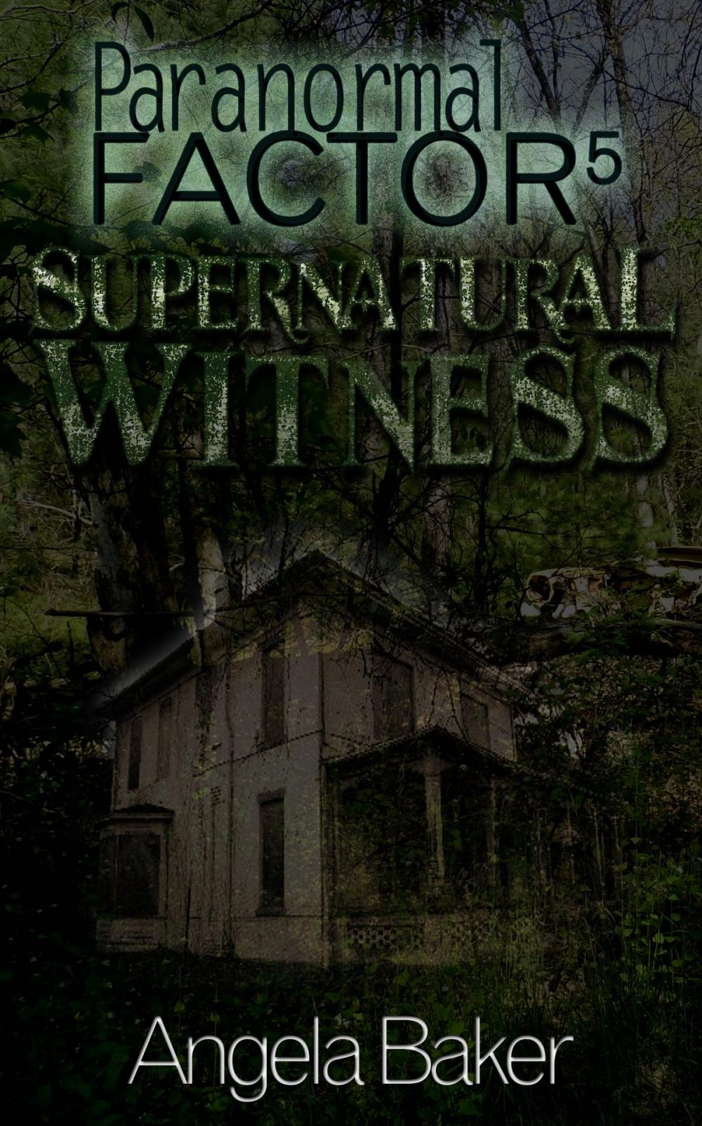 Big bigCover of Paranormal Factor: Supernatural Witness 5