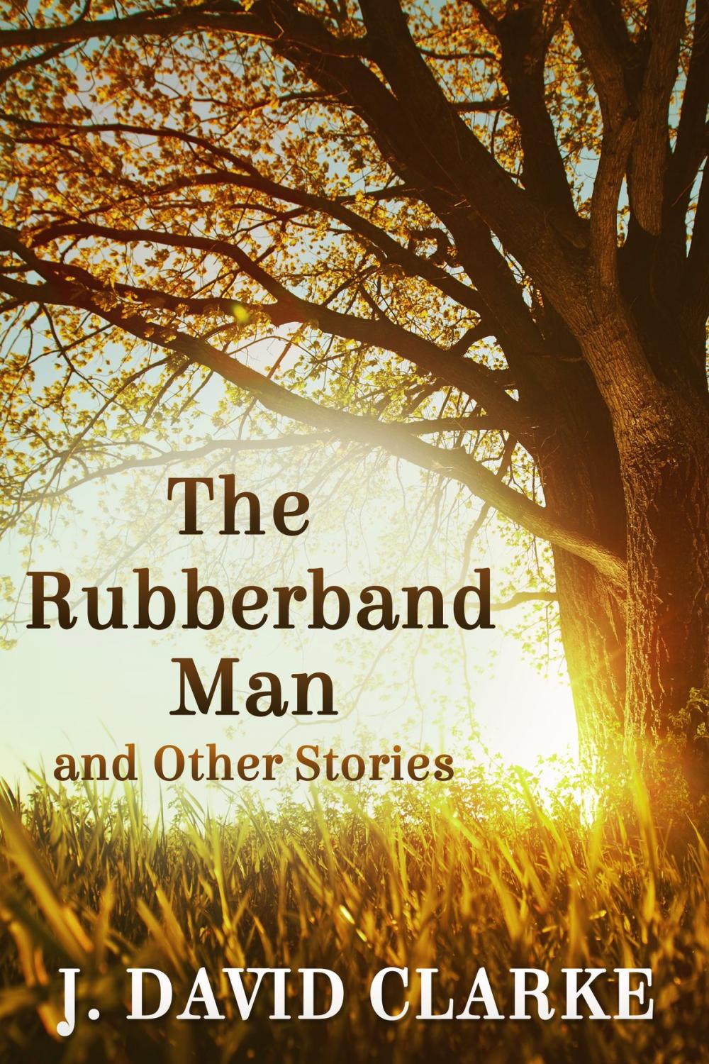 Big bigCover of The Rubberband Man and Other Stories FREE previews included