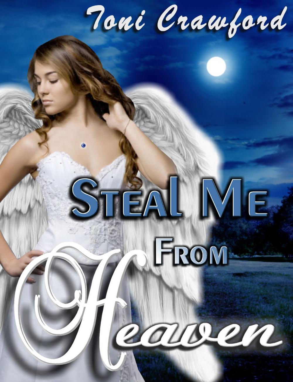 Big bigCover of Steal Me From Heaven