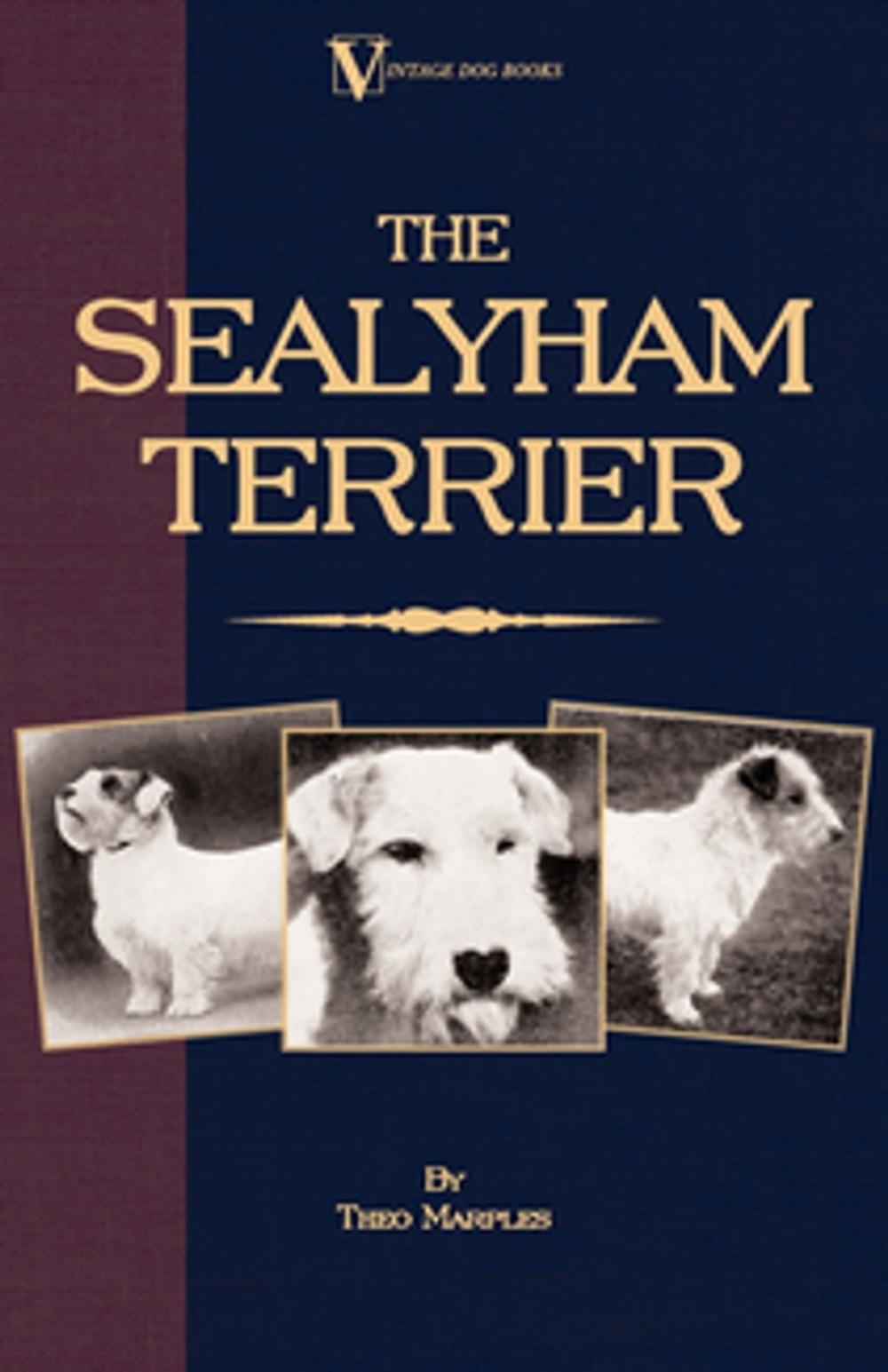 Big bigCover of The Sealyham Terrier - His Origin, History, Show Points and Uses as a Sporting Dog - How to Breed, Select, Rear, and Prepare for Exhibition