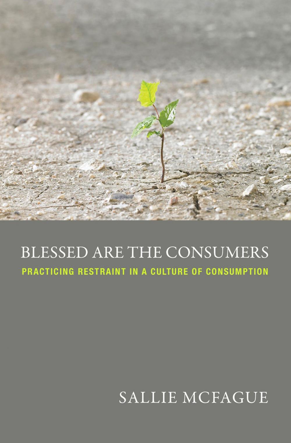 Big bigCover of Blessed are the Consumers -- A Fortress Digital Review