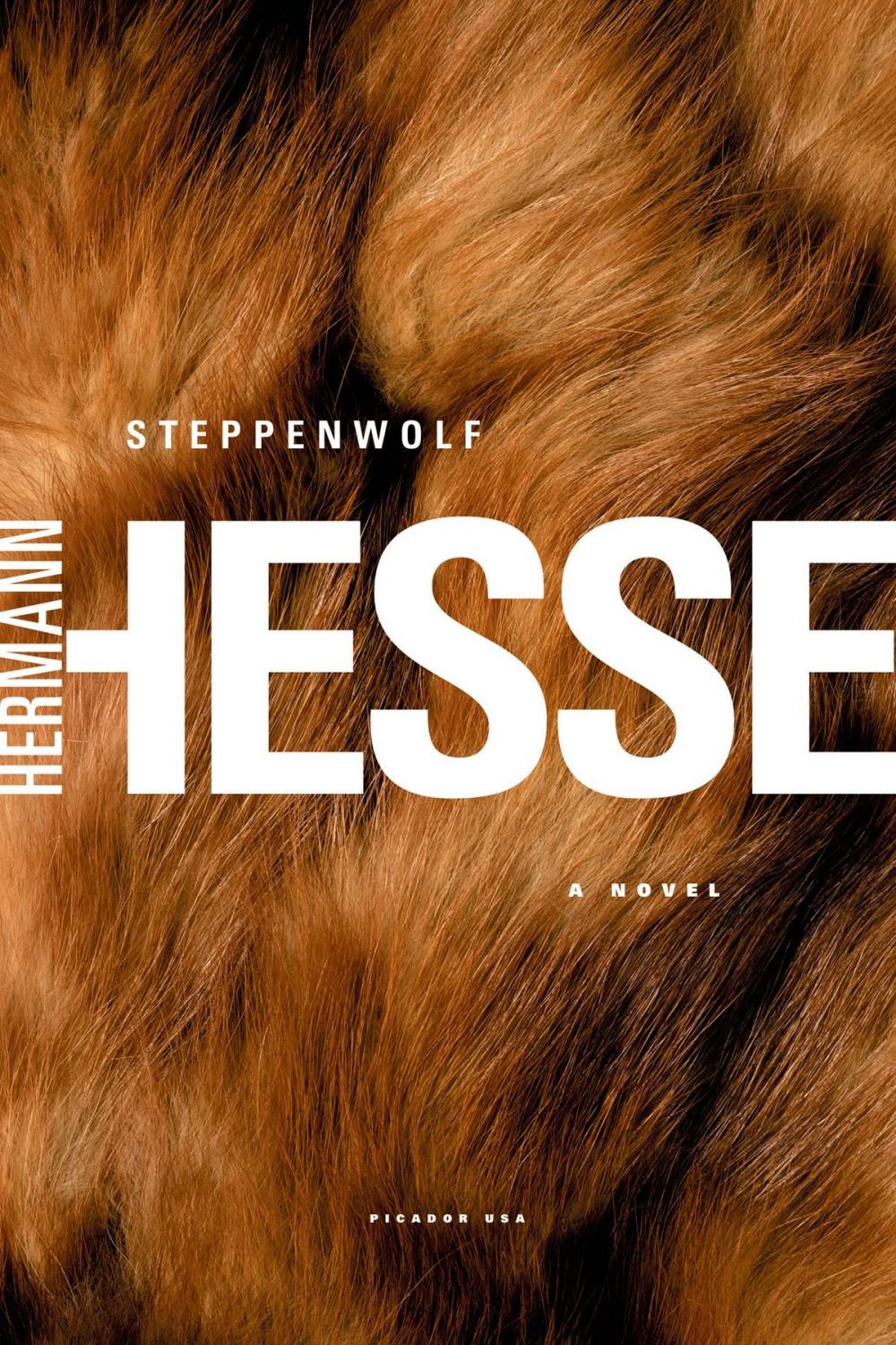 Big bigCover of Steppenwolf