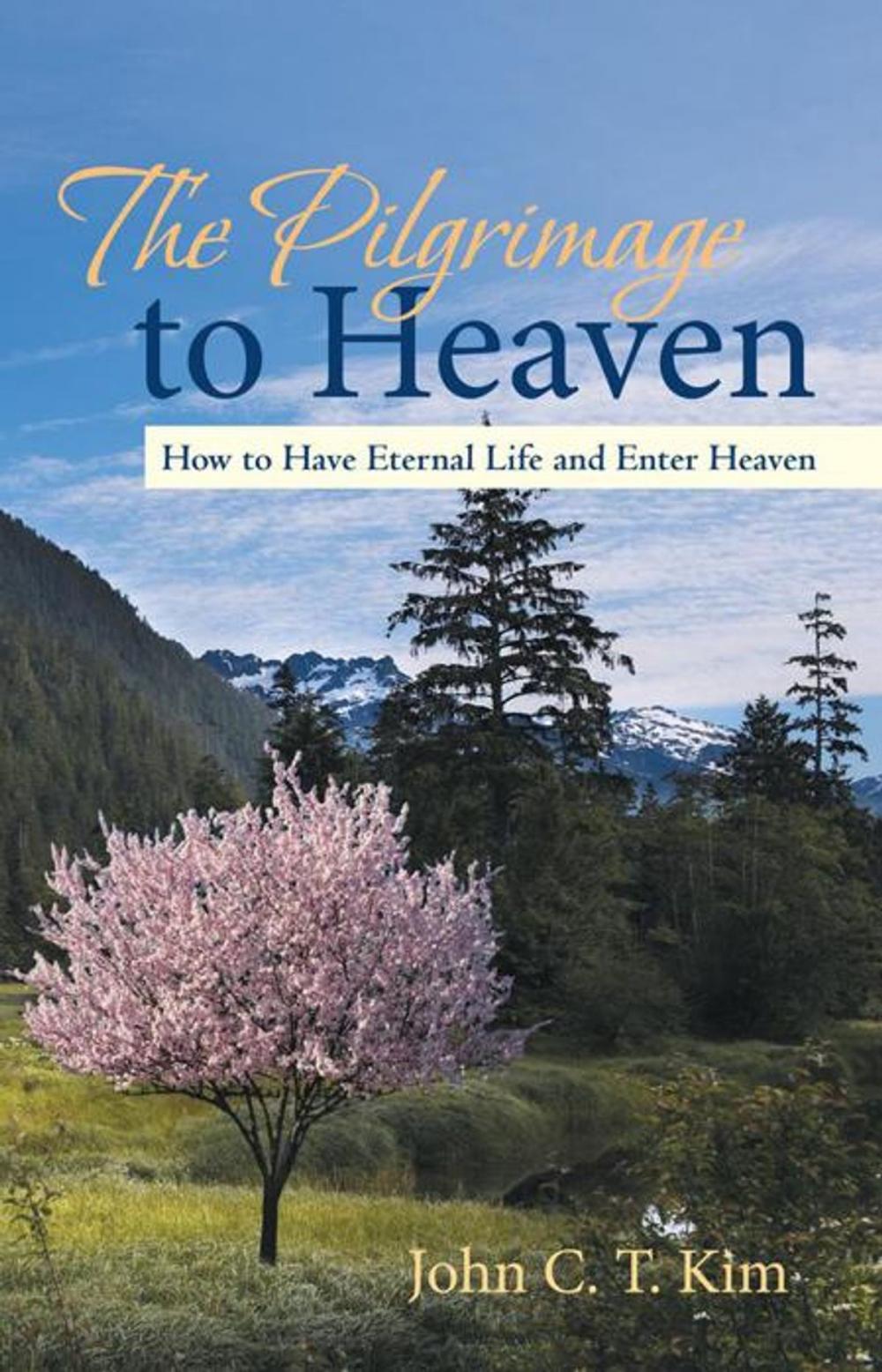 Big bigCover of The Pilgrimage to Heaven