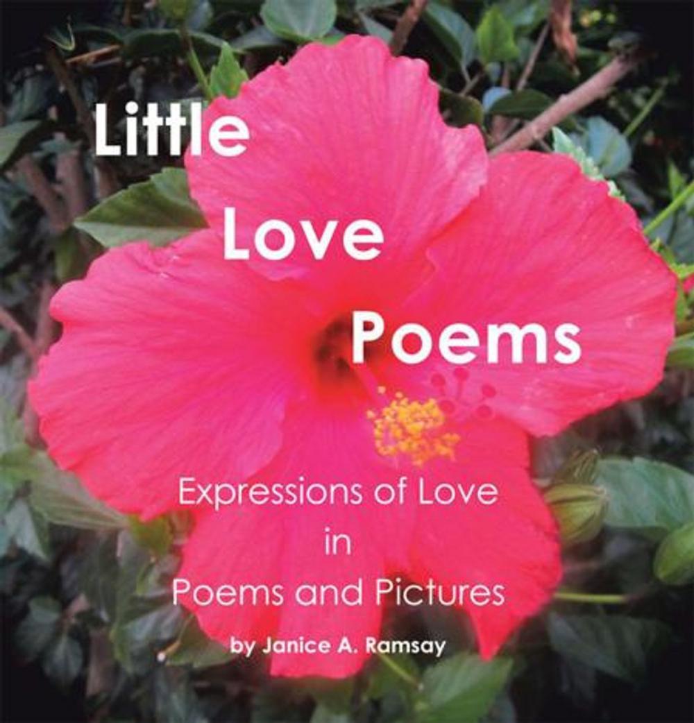 Big bigCover of Little Love Poems