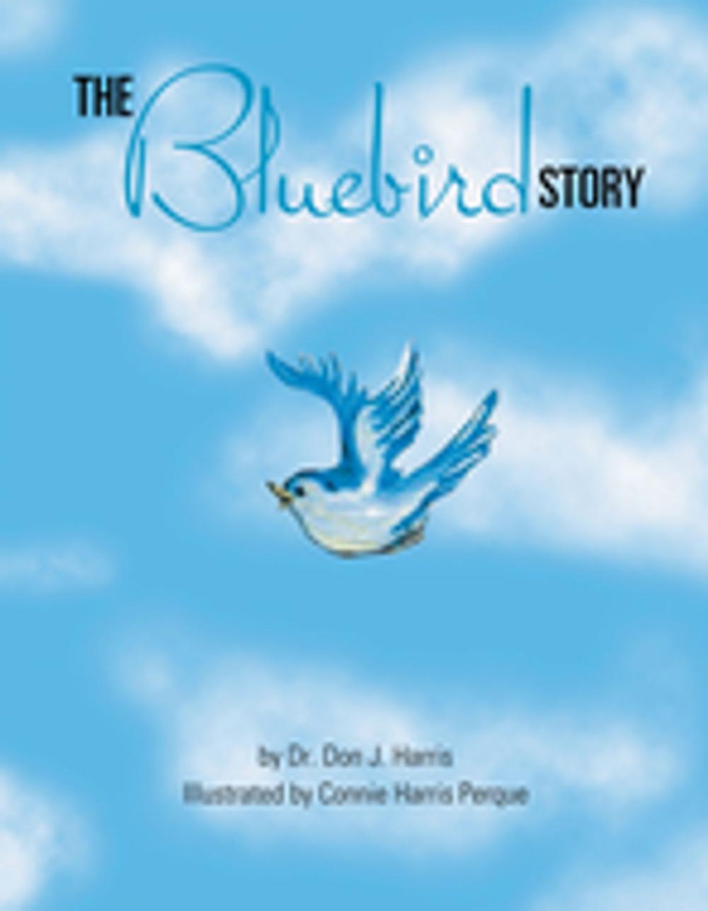 Big bigCover of The Bluebird Story