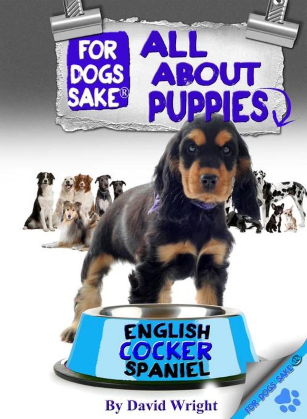 Big bigCover of All About English Cocker Spaniel Puppies