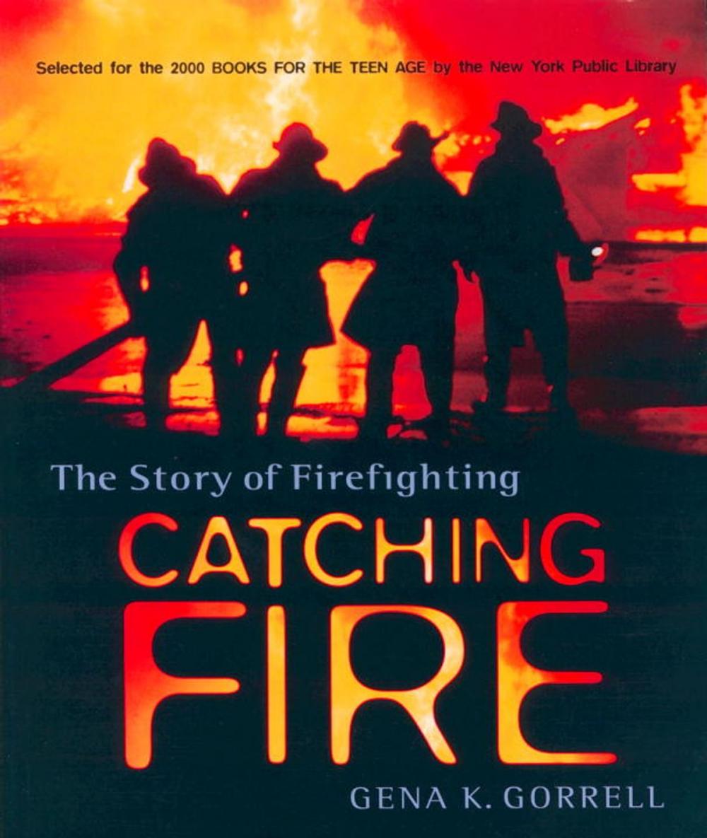 Big bigCover of Catching Fire