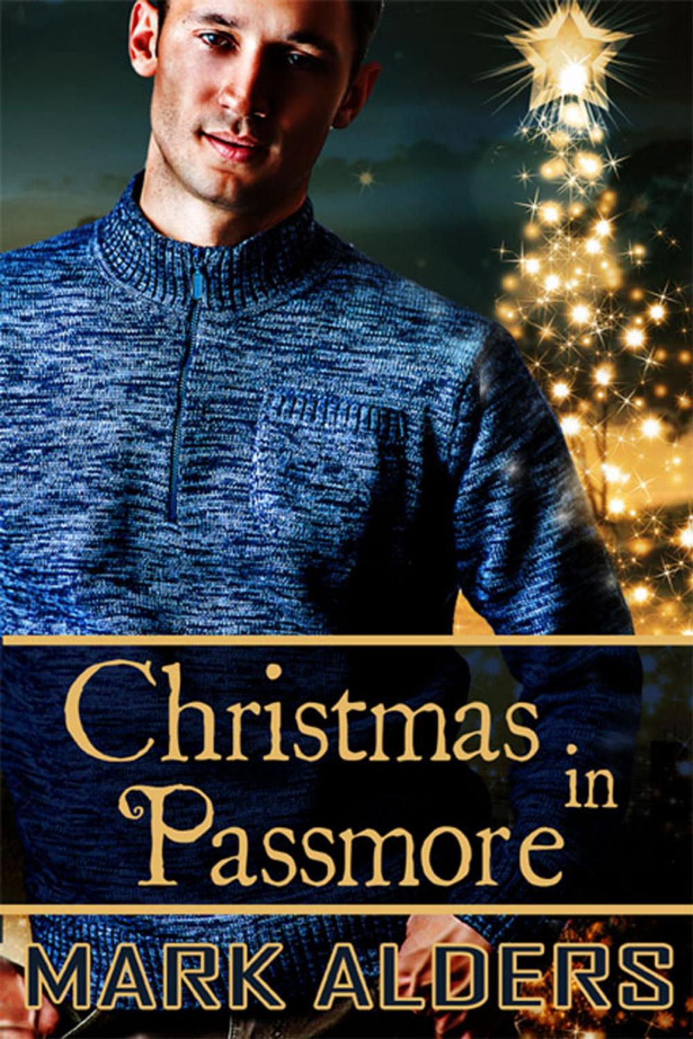 Big bigCover of Christmas in Passmore