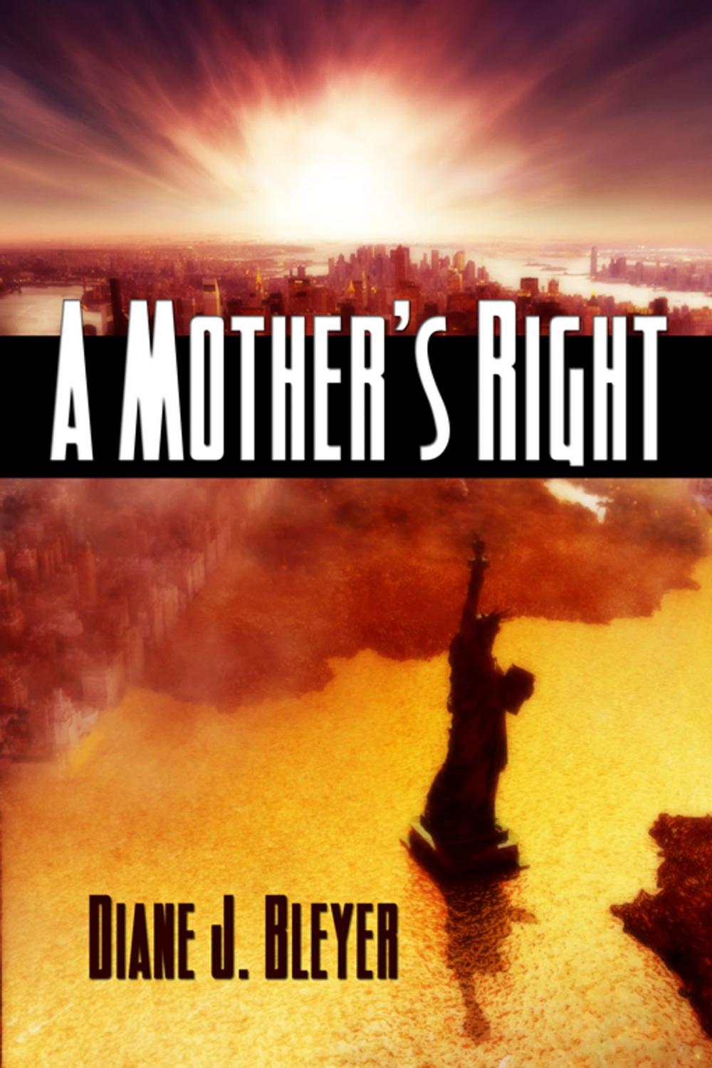 Big bigCover of A Mother's Right