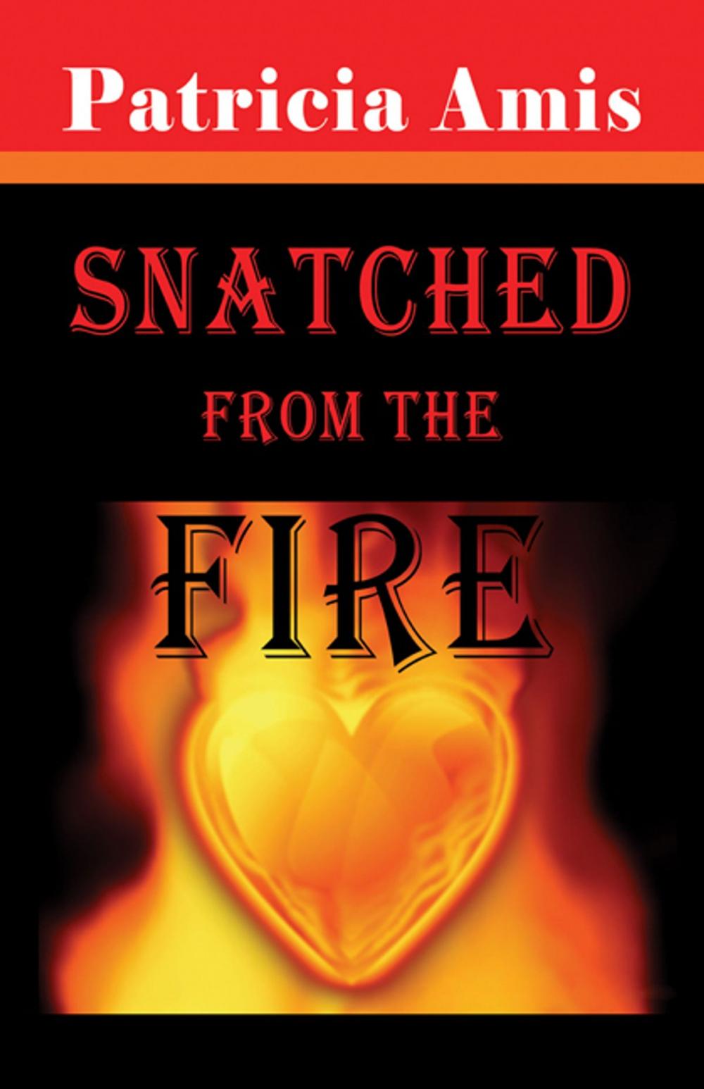 Big bigCover of Snatched from the Fire