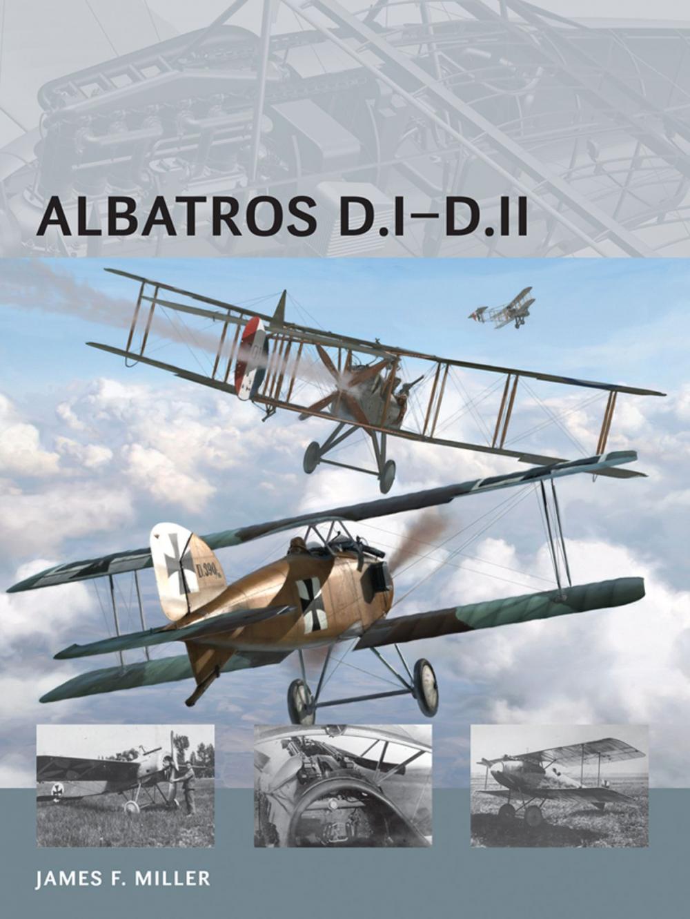 Big bigCover of Albatros D.I–D.II