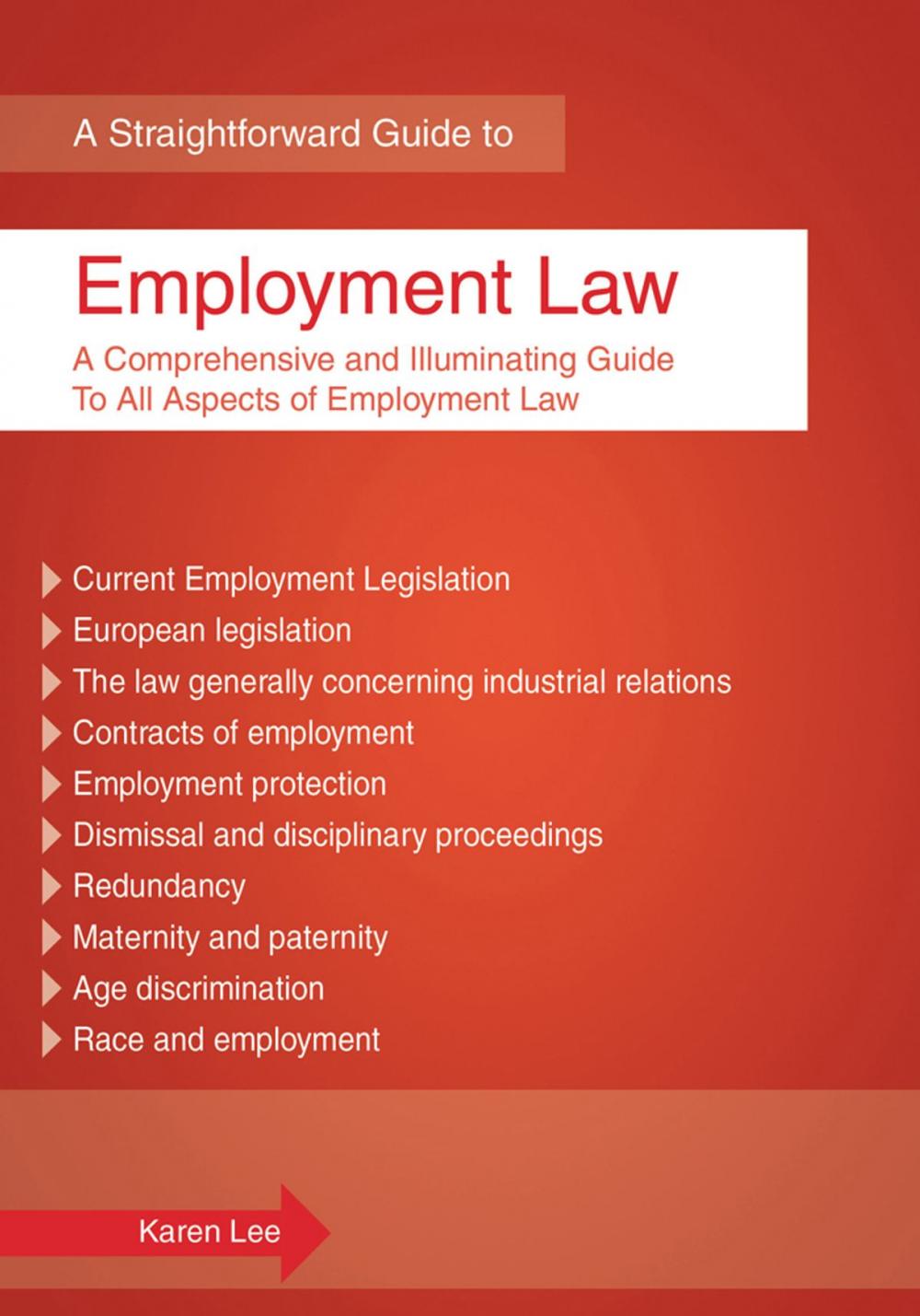 Big bigCover of The Straightforward Guide To Employment Law