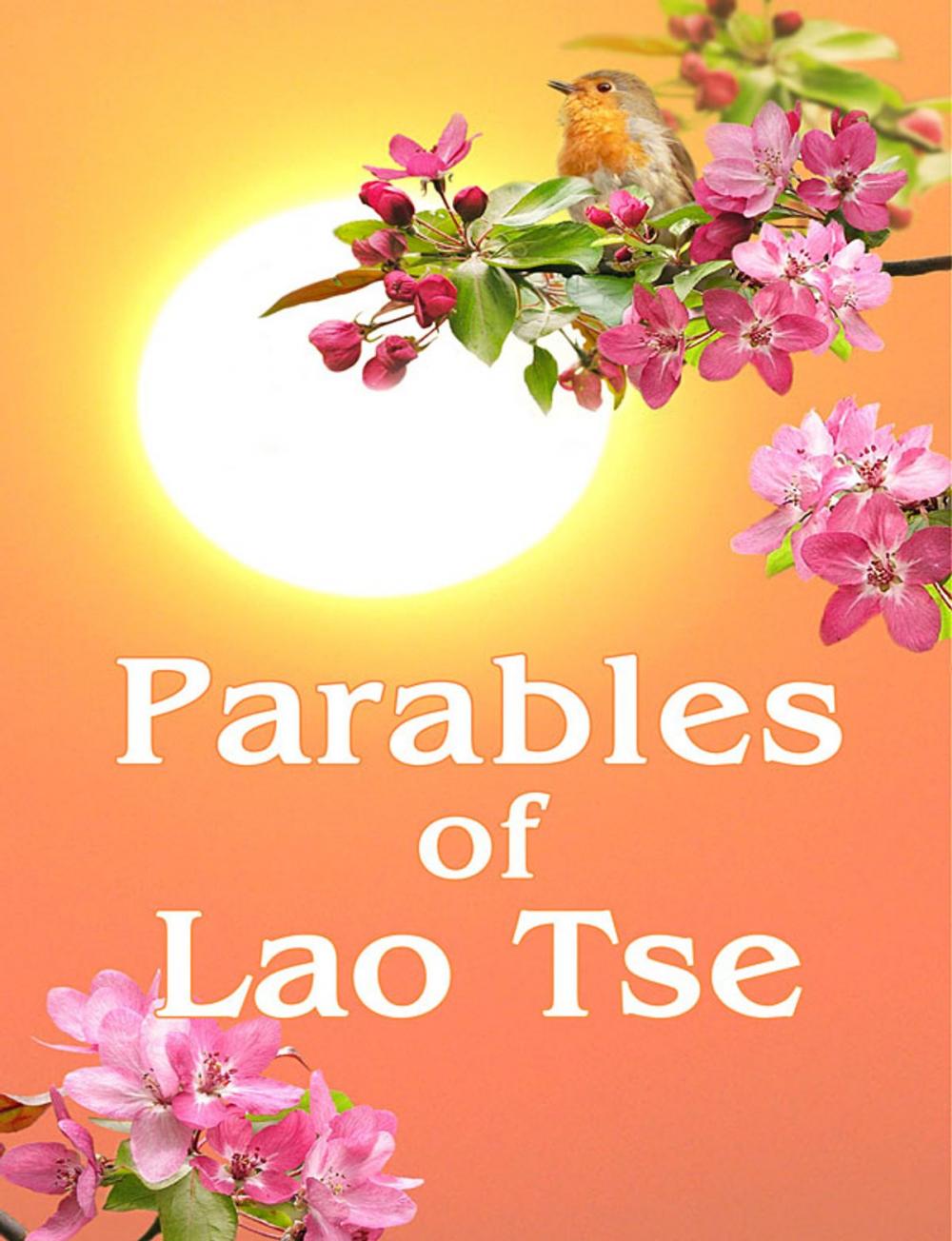 Big bigCover of Parables of Lao Tse