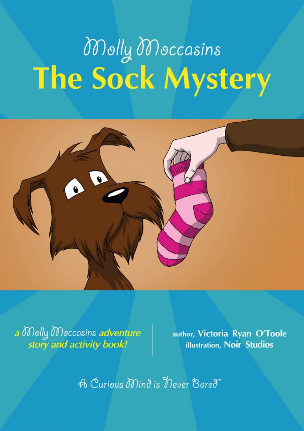 Big bigCover of The Sock Mystery
