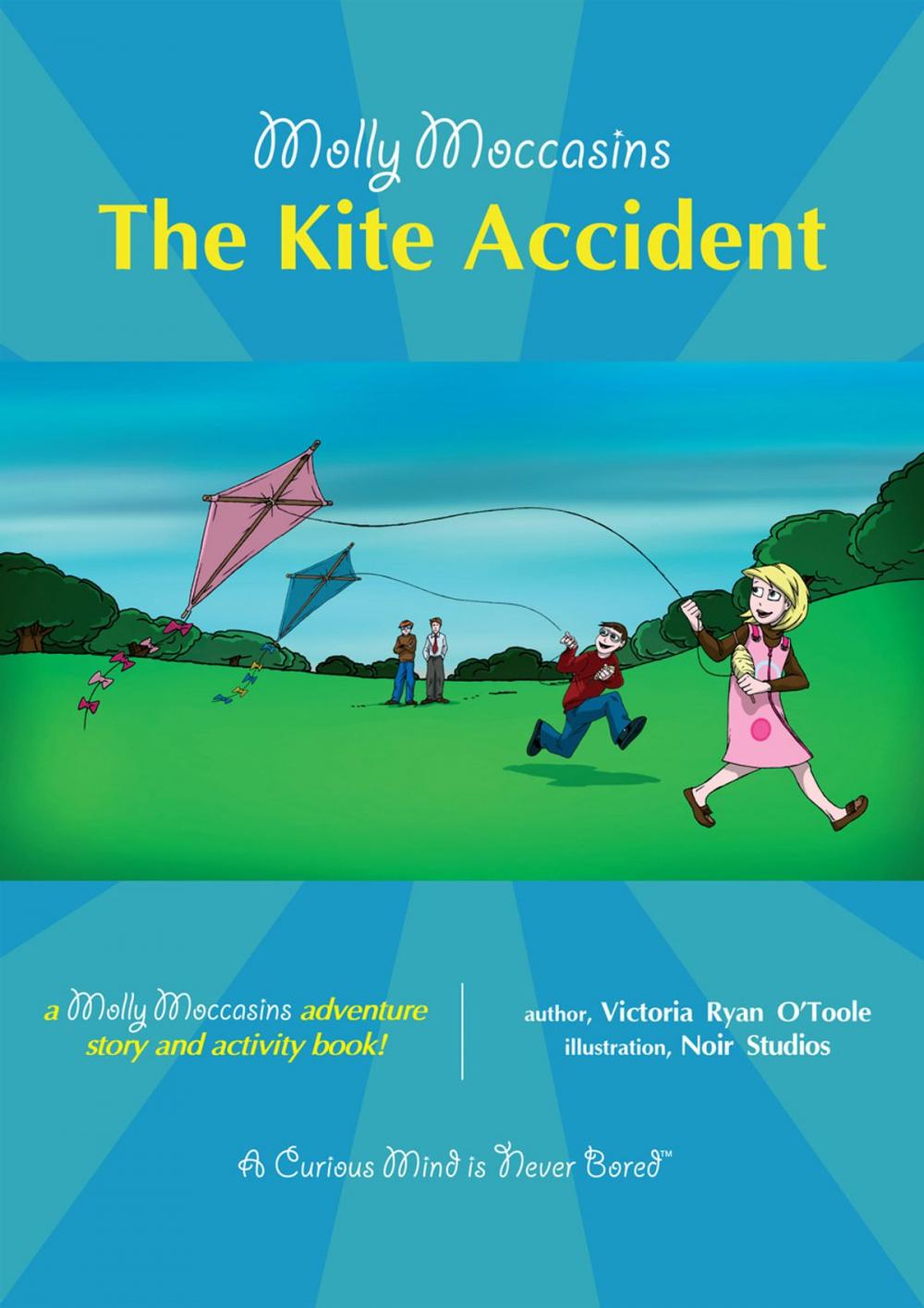 Big bigCover of The Kite Accident