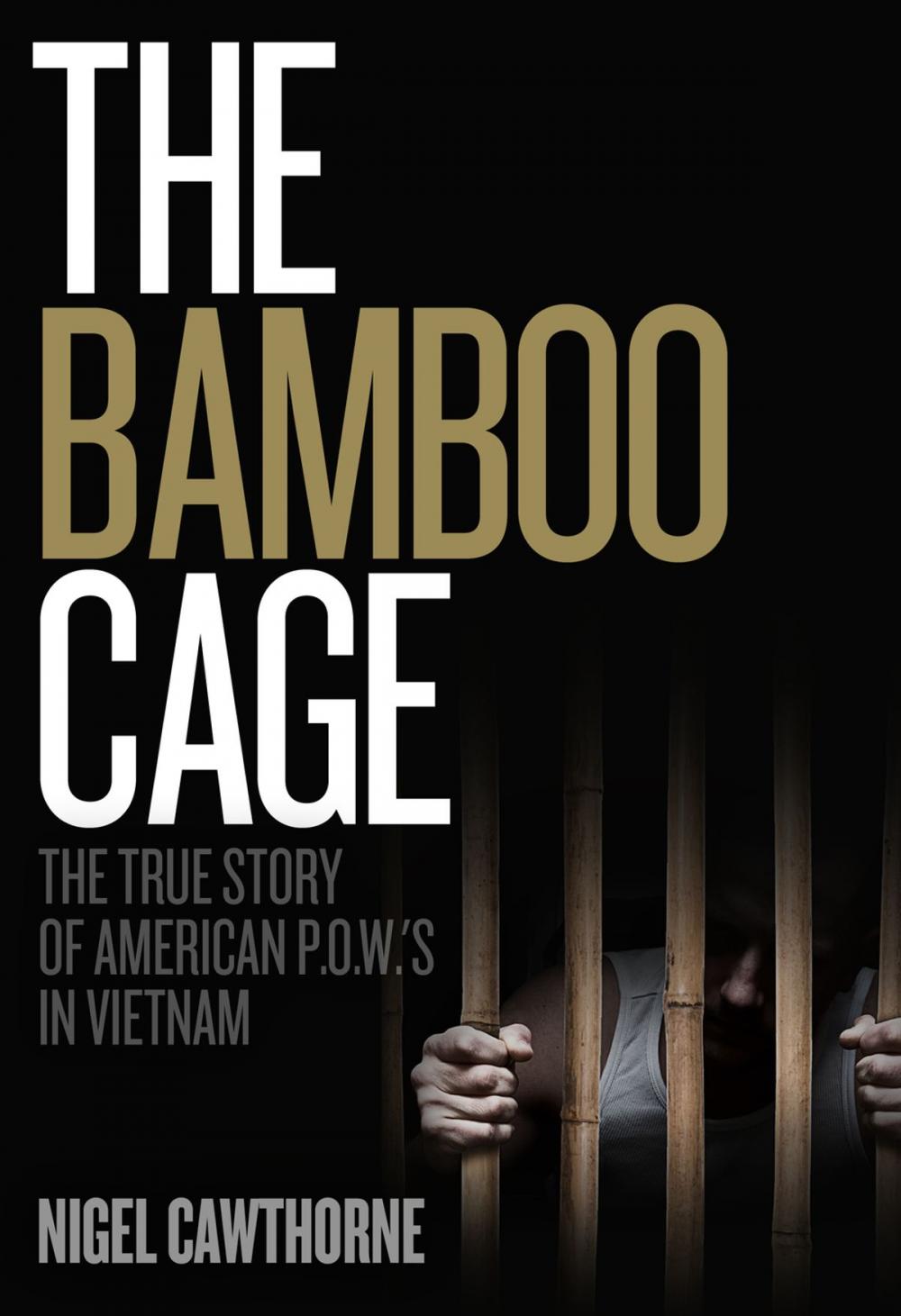 Big bigCover of The Bamboo Cage
