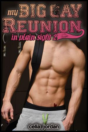 bigCover of the book My Big Gay Reunion by 