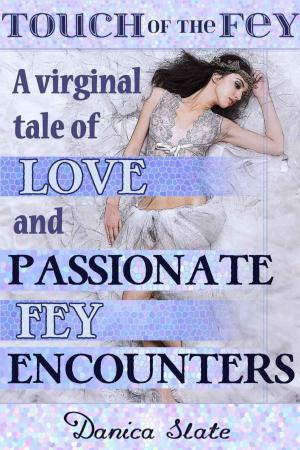 Cover of the book Touch of the Fey: A Virginal Tale of Love and Passionate Fey Encounters by Ryanne Corey