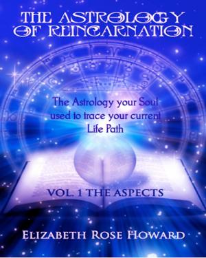 bigCover of the book The Astrology of Reincarnation: part II The Aspects by 