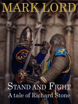 Cover of the book Stand and Fight by Mauricio Fabian Gil Gutiérrez, Diego Romero