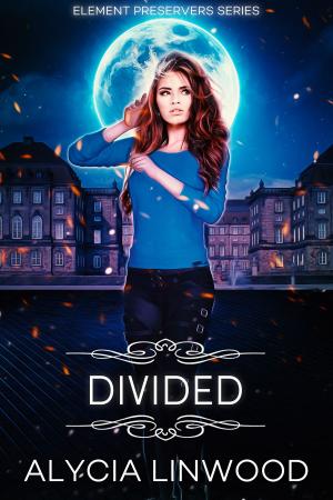 Cover of the book Divided by McKinley Adams