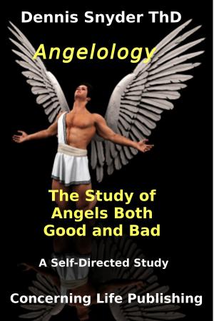 bigCover of the book Angelology: The Study of Angels Good and Bad by 