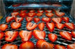 Cover of the book A Beginners Guide to Dehydrating Fruit by Alexandria King