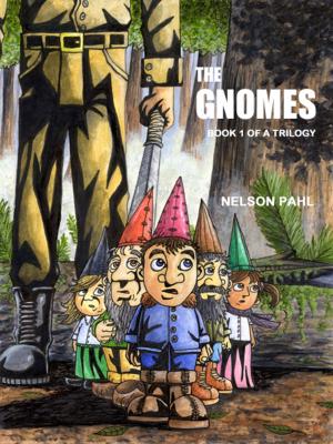 Cover of The Gnomes