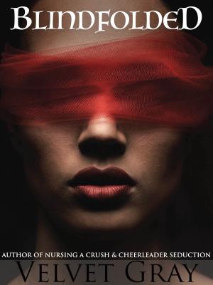 Cover of the book Blindfolded by Velvet Gray