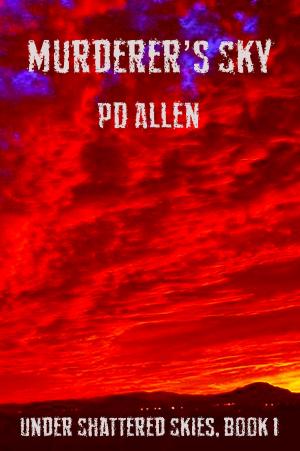 Cover of the book Murderer's Sky by PD Allen