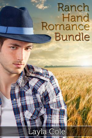 Book cover of Ranch Hand Romance Bundle