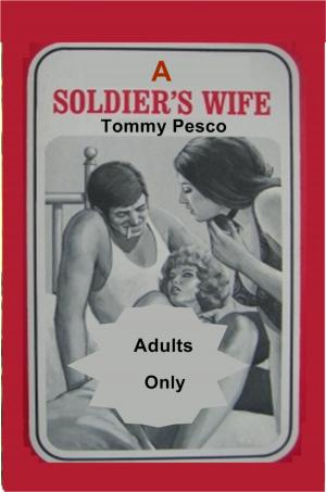 Cover of the book A Soldier's Wife by Gene Borgens