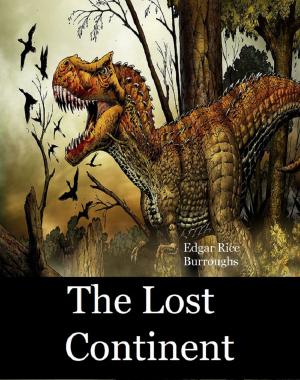Book cover of The Lost Continent